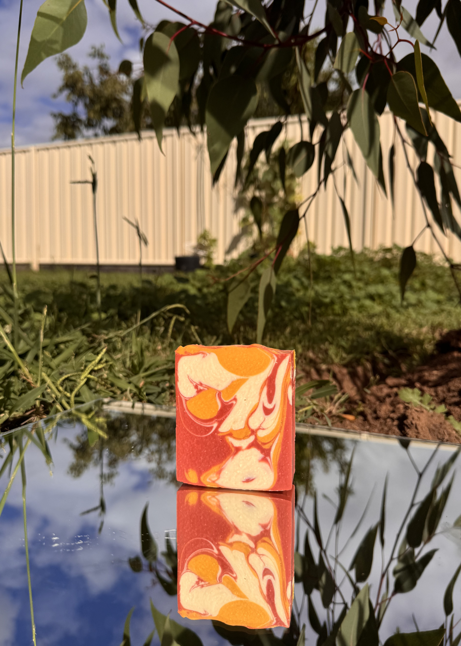 Kakadu Plum and Bush Cucumber