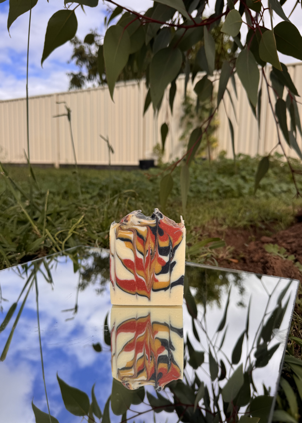 Australian Bamboo Grass