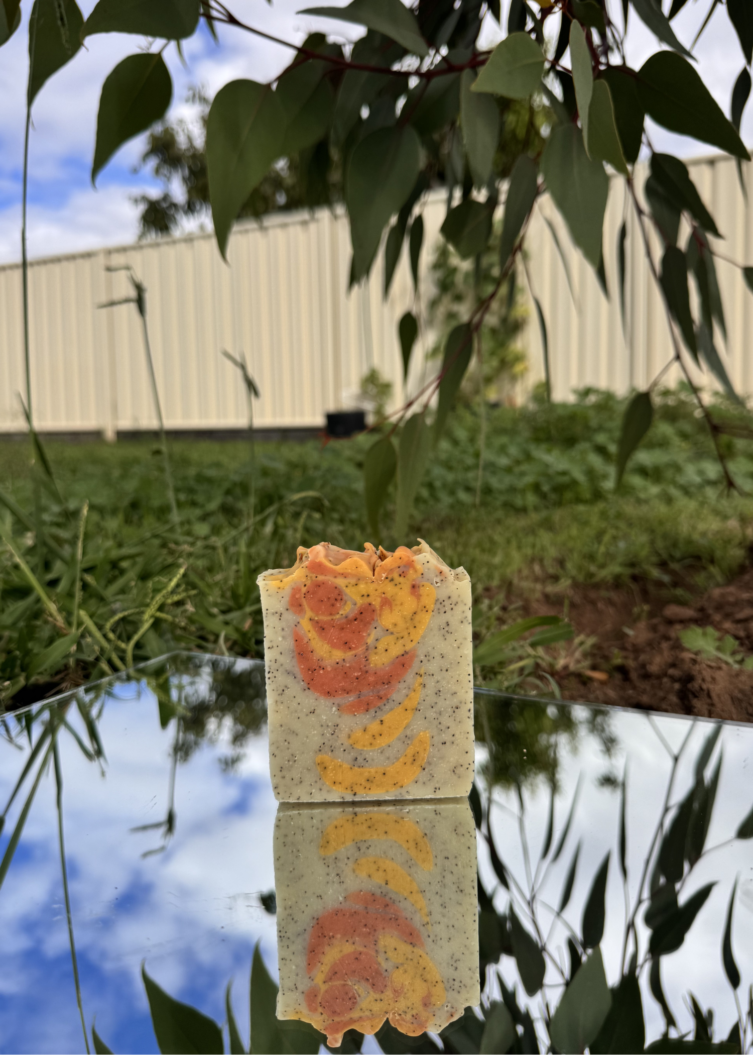 Lemon Iron Bark