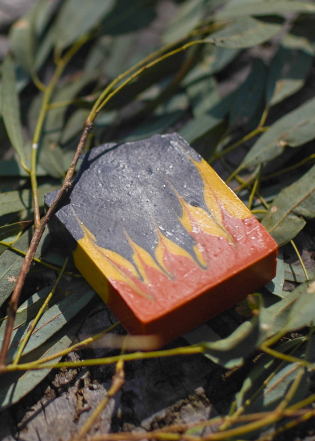 Lemon Gum Eucalyptus