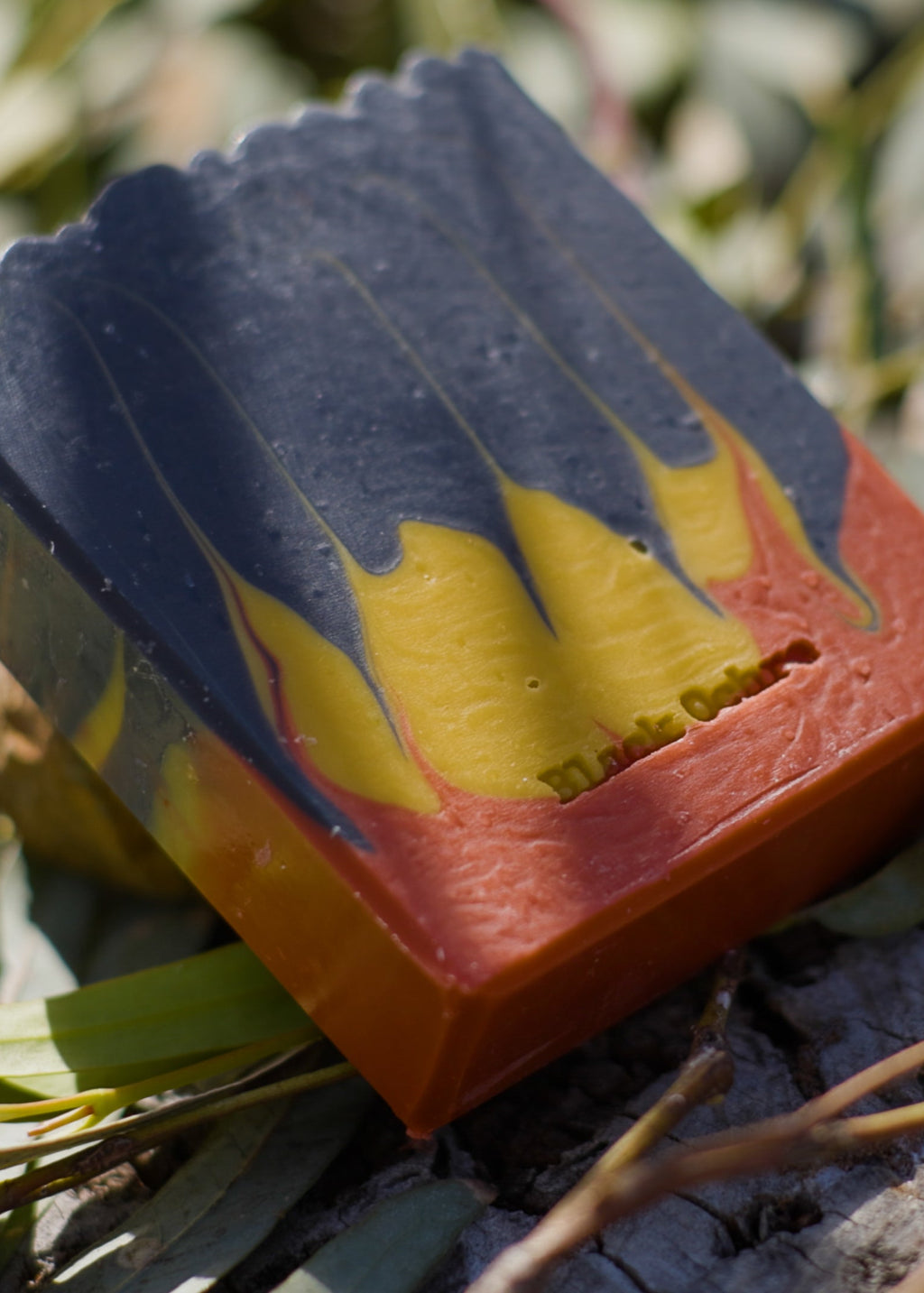 Lemon Gum Eucalyptus