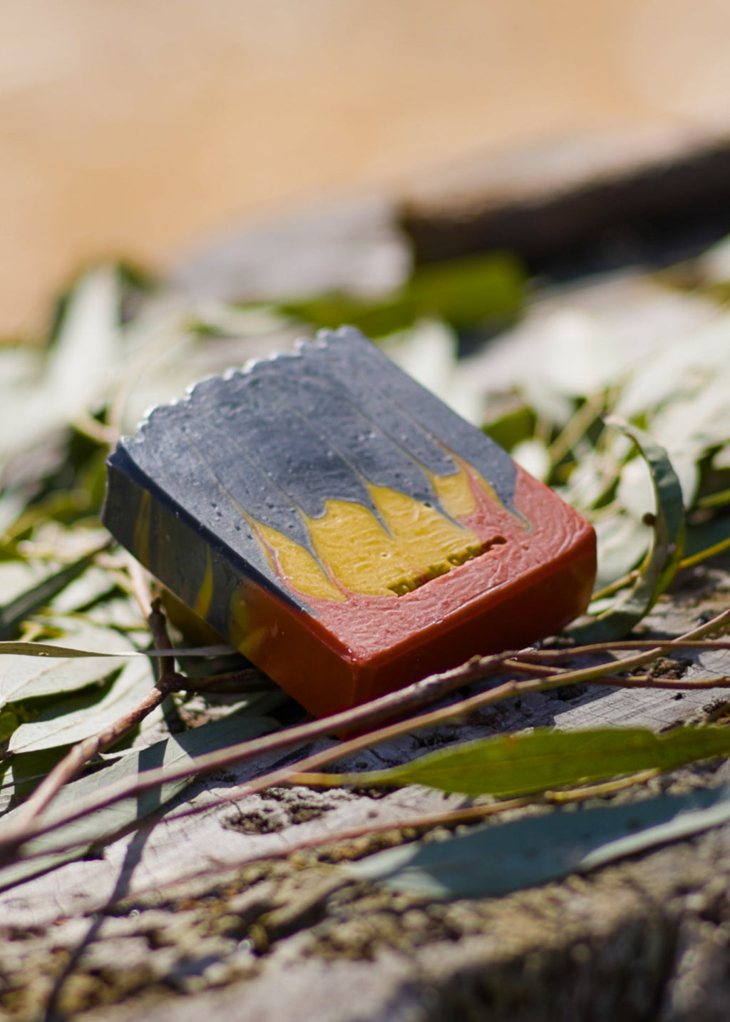 Lemon Gum Eucalyptus